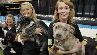 Healthy Pet Exhibitors at The Fit Expo