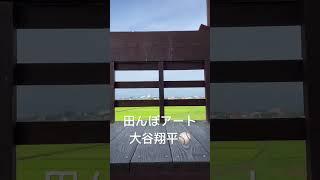 大谷翔平の生まれ故郷　岩手県奥州市の田んぼアートを見に来ました