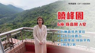 【#KOL睇真盤】Alice Chu 筍盤推介：曉峰園 6座 極高層 A室