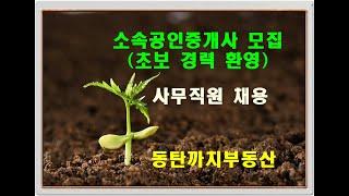 소속공인중개사 (소공) 모집  - 동탄 까치 부동산 사무직 (관리직)