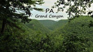 The Rim Trail ~ Colton Point State Park, PA