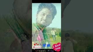 Vijaytv Varshini Suresh Chinna Thamarai Song Status #trending #thalapathyvijay