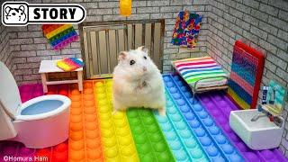  Hamster Escapes the Pop It Maze for Pets in real life  Homura Ham