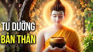 Tu dưỡng b.ả.n th.â.n, Sống đời tĩnh thức. Để ung dung đi giữa kiếp người an nhiên