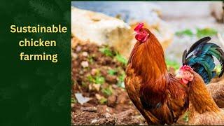 Sustainable Chicken Farming : Your Ultimate Self-Sufficiency Guide