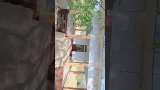 14 aprail jai bhim #shorts #ytshorts #youtubeshorts #trendingshorts #viralshort #explore #