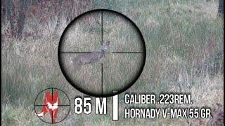 Neck shot reaction .223 rem. - Roe deer hunting