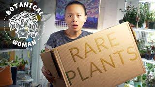 Massive $300 Indoor Plant Haul Unboxing and Review