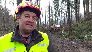 "Baum fällt!" - wie Forstarbeiter in Salzburg unter Lebensgefahr Sturmschäden beseitigen