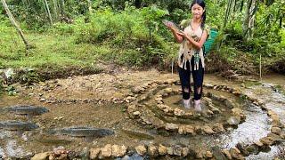 Orphaned girl uses rocks to create spiral fish traps and unexpectedly harvests a lot of fish to sell