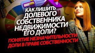 Незначительная доля собственности: что это, можно ли принудительно лишить такого собственника права?