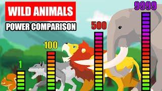 Wild Animals Power Comparison | Animal Animation