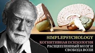 Когнитивная психология воли #75. Расщепленный мозг в экспериментах Сперри и свобода воли.