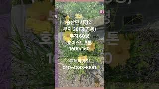 [화성공장임대] 호이스트 있는 저렴한 60평 제조장 임대