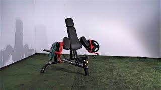 Steelflex Triceps Extension Machine PLTE