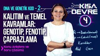 8. Sınıf Fen Bilimleri DNA ve Genetik Kod –2: Kalıtım, Genotip, Fenotip | Lightboard ile Ders #4