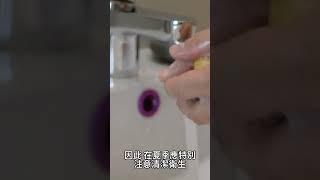 【蚊蟲 叮咬】紫蘇葉：迅速減輕蚊子 叮咬後紅腫和瘙癢的天然妙方，舒緩被 燒傷 曬傷 蟲咬傷等等症狀！ | 天然 良藥 | 天然 治療7