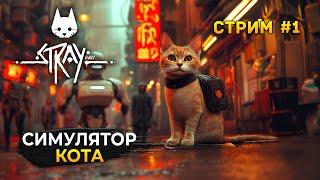 Стрим Stray #1 - Симулятор Кота. Приключения в Кибергороде (Первый Взгляд)