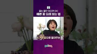 끓는 물만 있으면 OK! 예쁜 꽃 오래 보는 법 - 플로리스트 김혜정