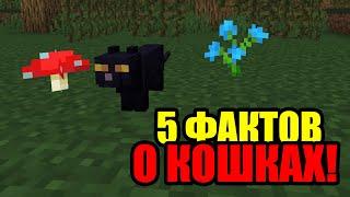 5 ФАКТОВ О КОШКАХ - Майнкрафт