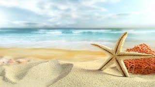Relaxing Harp Music: Study, Relaxation, Meditation, Sleep | Instrumental Background Music 60