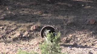 Goulds Turkey Hunt Video-Carole and Bob with Jay Scott