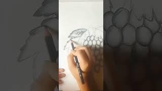 Grapes Art by pencil sketch #youtube #shorts #viral #foryou #trending