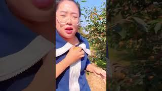 CAINA FRUIT CUTTVIDEO IN