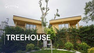 Treehouse Tour at Lebada Luxury Resort & SPA