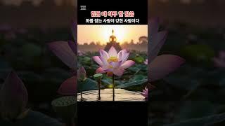 하루 한 말씀#부처님말씀 #명상 #힐링 #마음공부 #1분명상  #불교명언 #스트레스해소 #지친마음 #shorts #shortsvideo