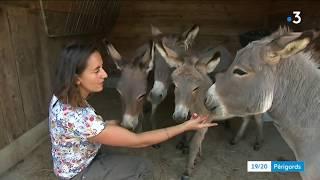 La passion des ânes de Céline à La Force en Périgord