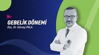 Kadın Hastalıkları ve Doğum Kliniği - Doç. Dr. Gürsoy Pala | Gebelik Dönemi