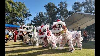 1st International Acrobatic High Pole Lion Dance Exhibition in Perth Australia澳大利亚, 珀斯首届国际高桩舞狮观摩赛