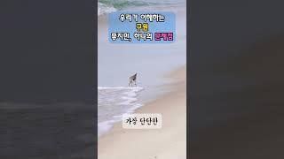 십자가의 피로 천국갈 것을 믿는다 | 분명한 신앙의 고백이지만 [문제]가 있습니다