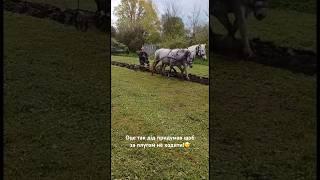 Оце так дід придумав щоб за плугом не ходити! #село #shorts #ukraine