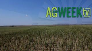 AgweekTV Full Episode 08/10/24 S10E32