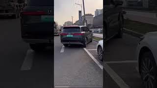 Параллельная парковка Denza N9!