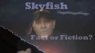 QFTI   Skyfish   Fact or Fiction Video