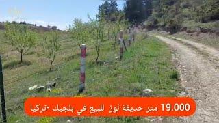 19.000متر حديقة لوز للبيع في بلجيك -تركيا