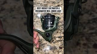 KastKing Spartacus 2 | Best Budget Spinning Reel Under $50 #fishing #saltwater #kastking #pesca