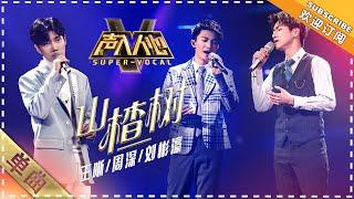 [Super Vocal] Wang Xi, Zhou Shen, Liu Binhao - "Hawthorn Tree": Fall in love with beautiful voices