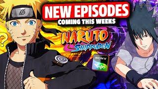 THIS WEEK! Naruto Shippuden Hindi Dubbed Episode 221! New Episodes Of Season 11