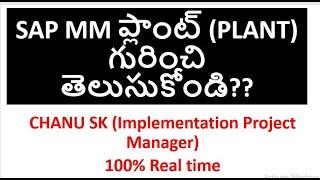 SAP MM Training in Telugu|SAP MM ప్లాంట్ గురించి తెలుసుకోండి ?|SAP MM Coaching in Telugu