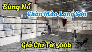 15-8. BÙNG NỔ CHÀO MÀO LẠNG SƠN. GIÁ CHỈ TỪ 500k. BỘ KHỦNG LONG BẠO CHÚA. HÀNG TUYỂN CHỌN CỰC KỲ CHẤ