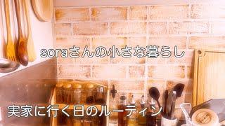 《63歳東京ひとり暮らし＋1》いつもの暮らし/実家/塩レモンパスタ、フルーツポンチ/仕事の前/猫と暮らす　　#ひとり暮らし  #暮らしの記録