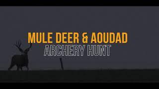 DSC Foundation Midyear Live Virtual Auction: Apache Ranch Mule Deer & Aoudad Hunt
