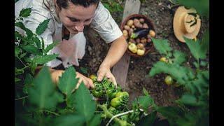 Grow Your Own Garden