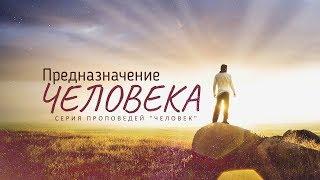 Бытие: 9. Предназначение человека (Алексей Коломийцев)