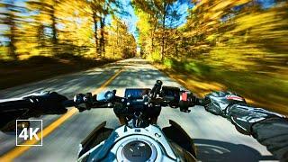 "ENGINE SOUND ONLY" | FALL COLORS  | HONDA CB650R AKRAPOVIC | COUNTRY ROADS VIBES