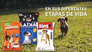 MNA de México presenta su nueva Planta de alimentos para mascotas